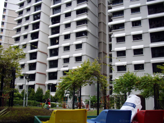 Jurong West Street 61 thumbnail photo